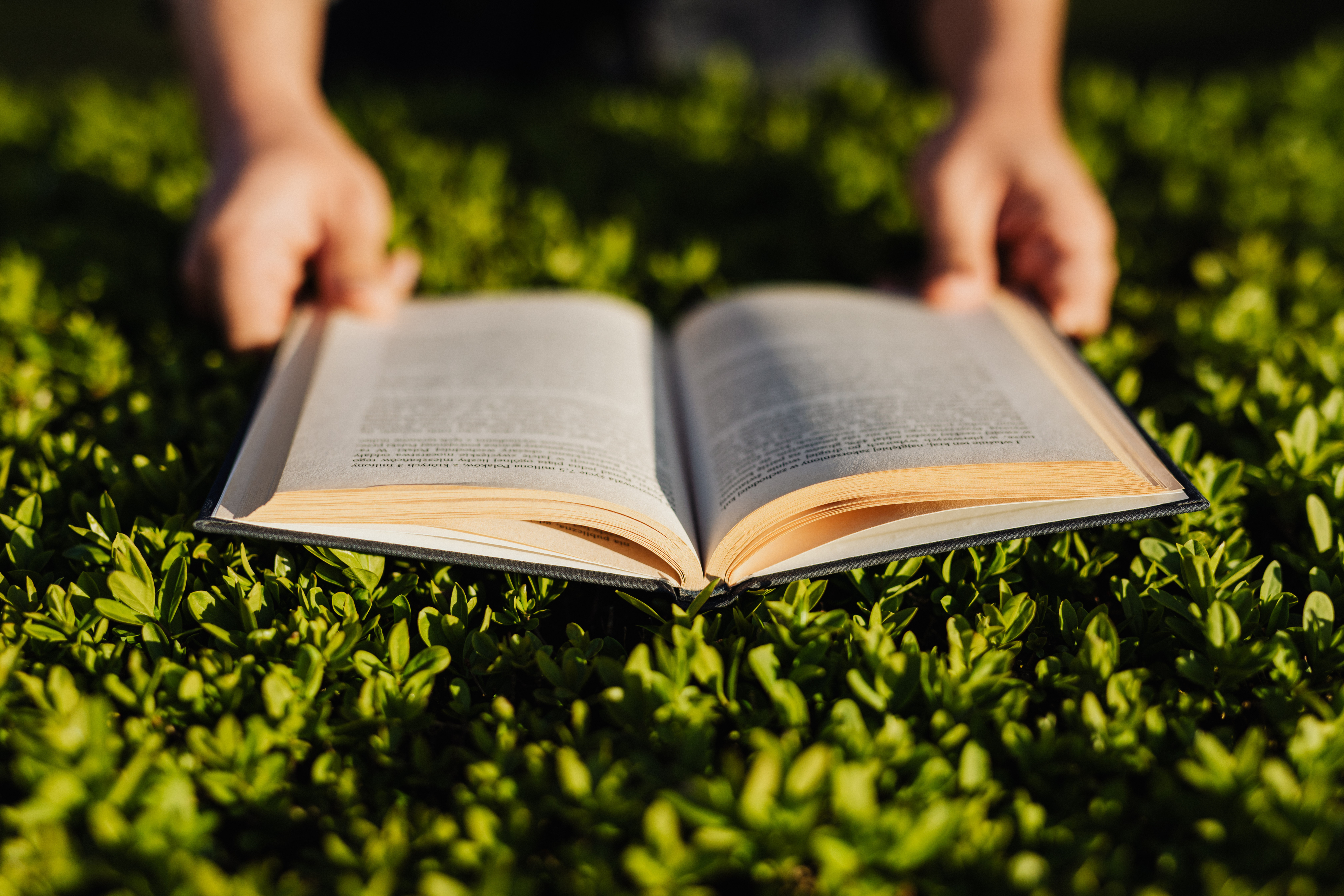 Unrecognizable person reading book in park